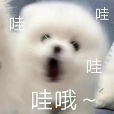 image003.png